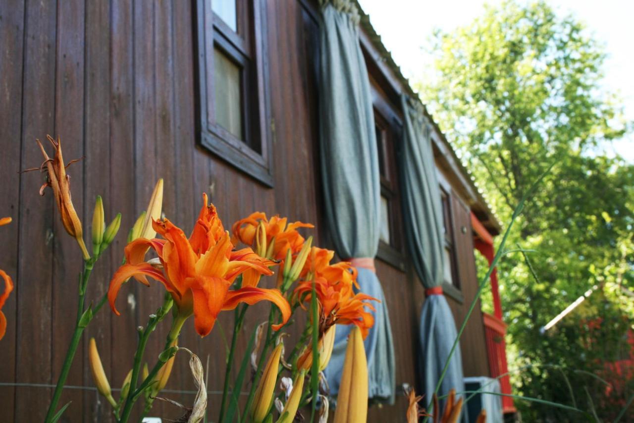 El Sendero - Gueiraldes B&B Сан Антонио де Ареко Екстериор снимка